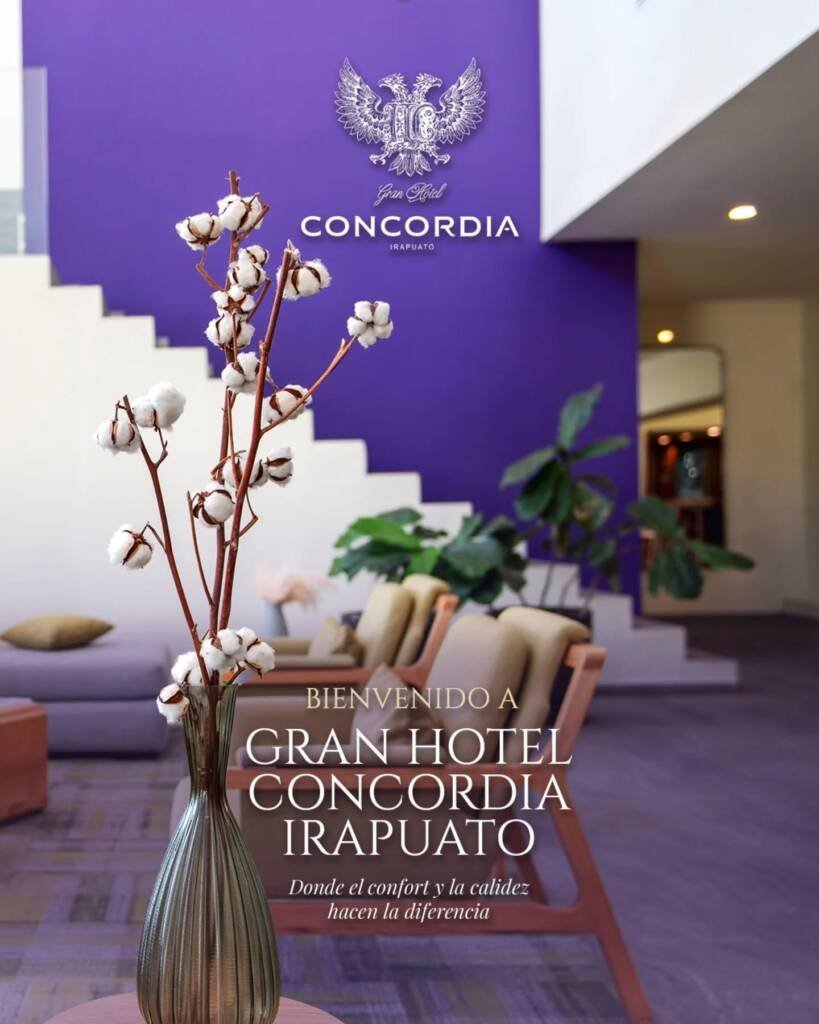 Irysa irapuato